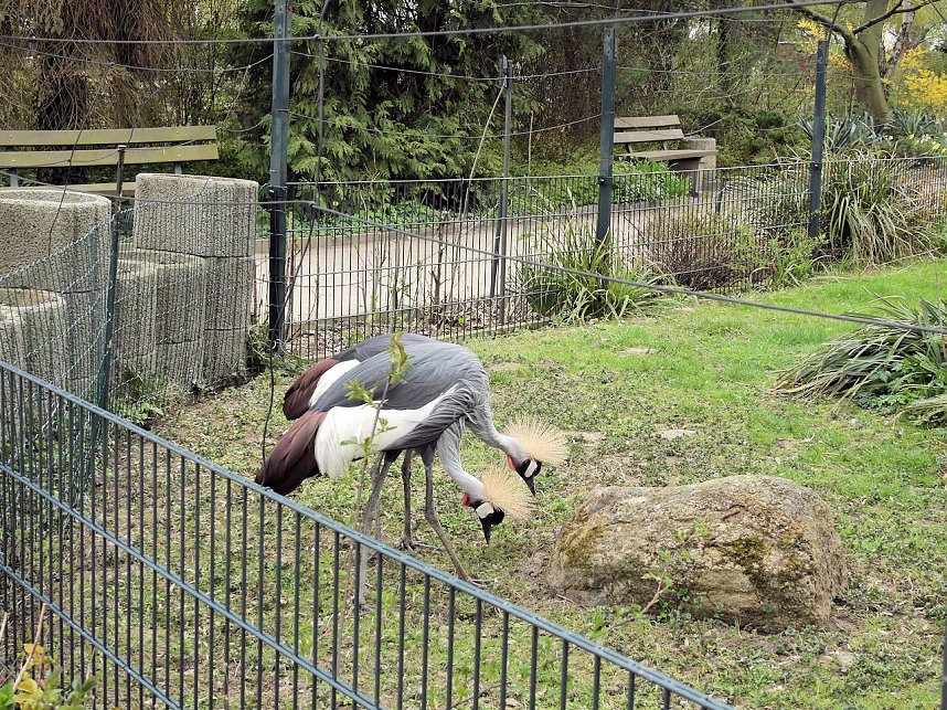 Tiergarten Delitzsch