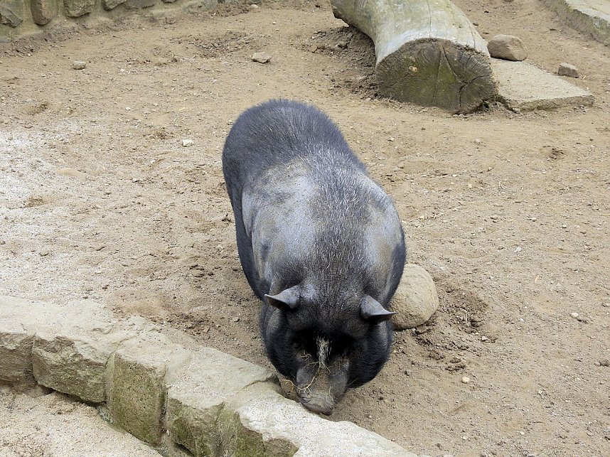 Tiergarten Delitzsch