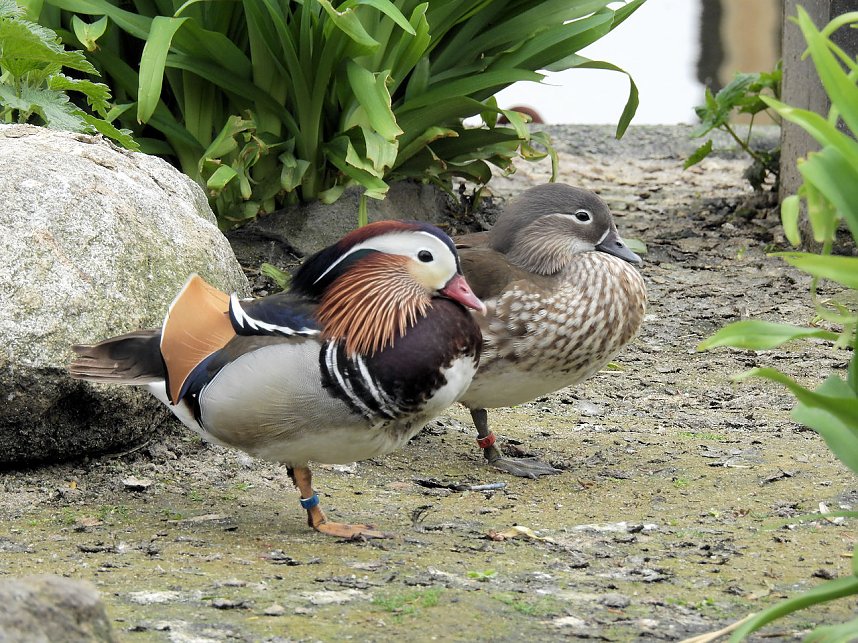 Tiergarten Delitzsch