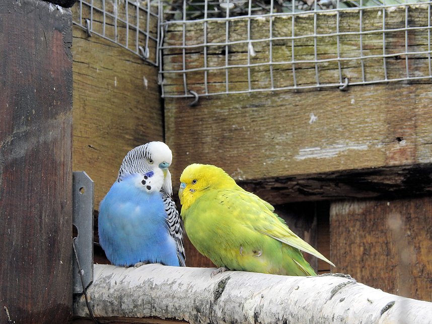 Tiergarten Delitzsch