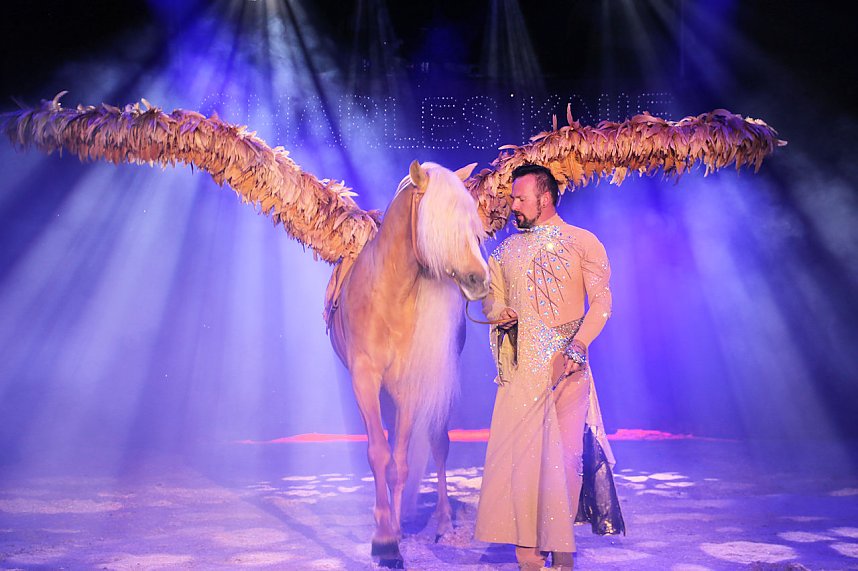 Zirkus Knie in Nordhausen