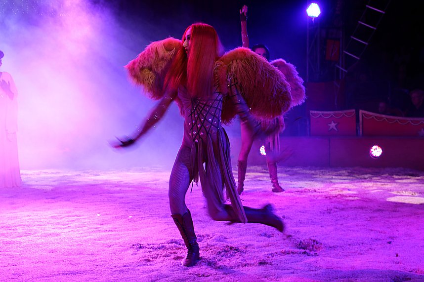 Zirkus Knie in Nordhausen