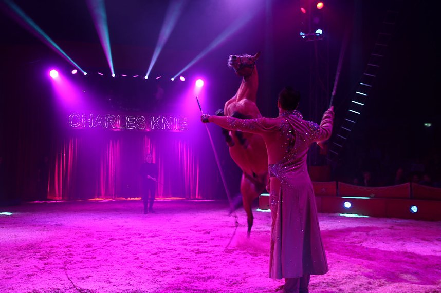 Zirkus Knie in Nordhausen