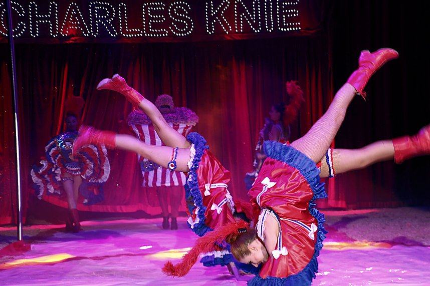 Zirkus Knie in Nordhausen