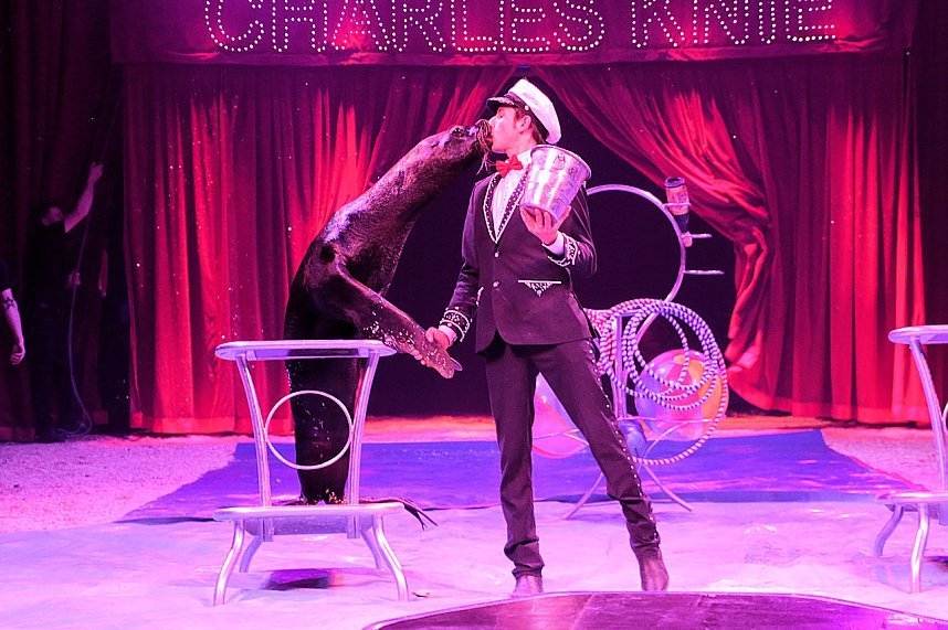 Zirkus Knie in Nordhausen