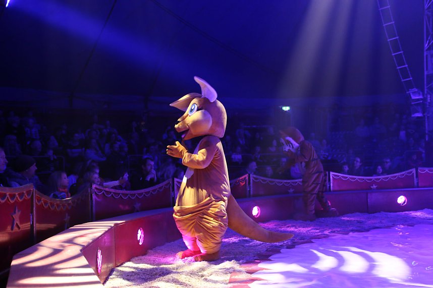 Zirkus Knie in Nordhausen