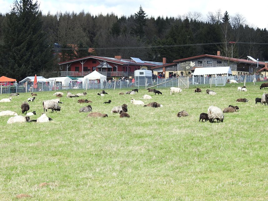 L&auml;mmerfest auf der Ziegenalm