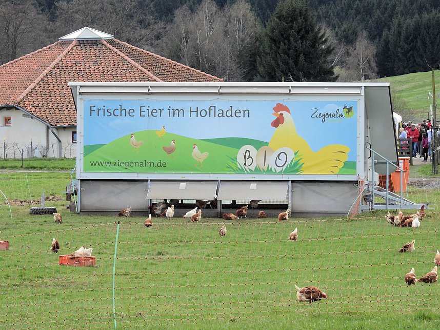 L&auml;mmerfest auf der Ziegenalm