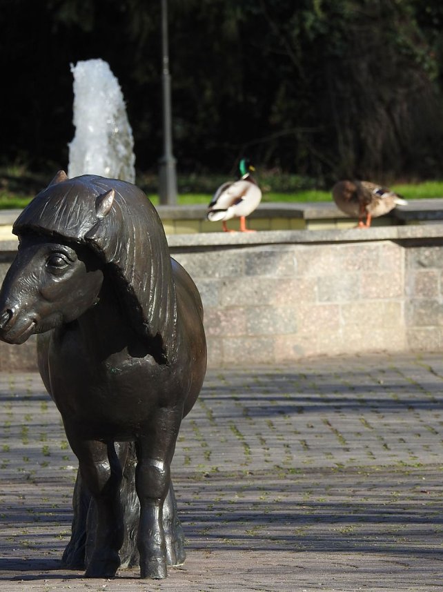 Peter Blei unterwegs in Bad Schmiedeberg