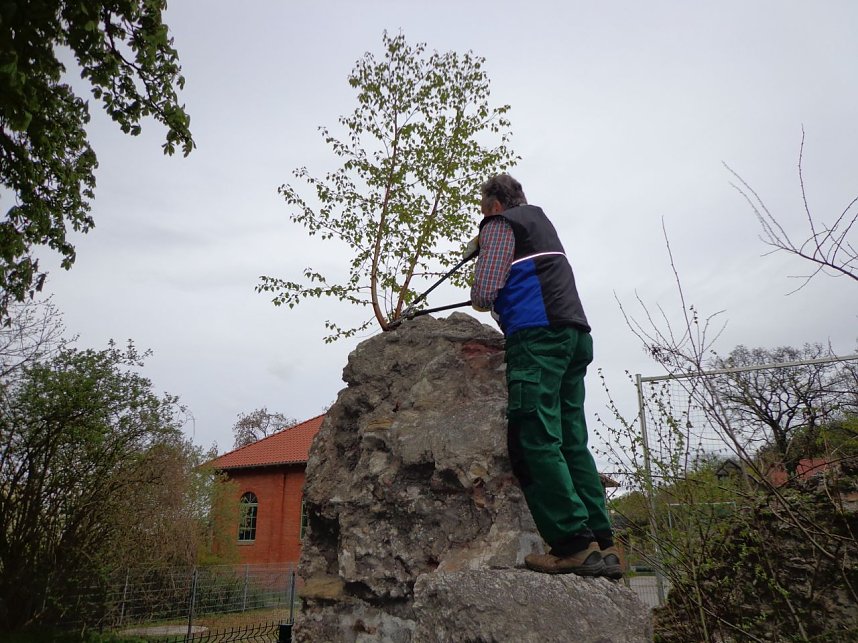 Subottnik des Nordh&auml;user Geschichts- und Altertumsvereins