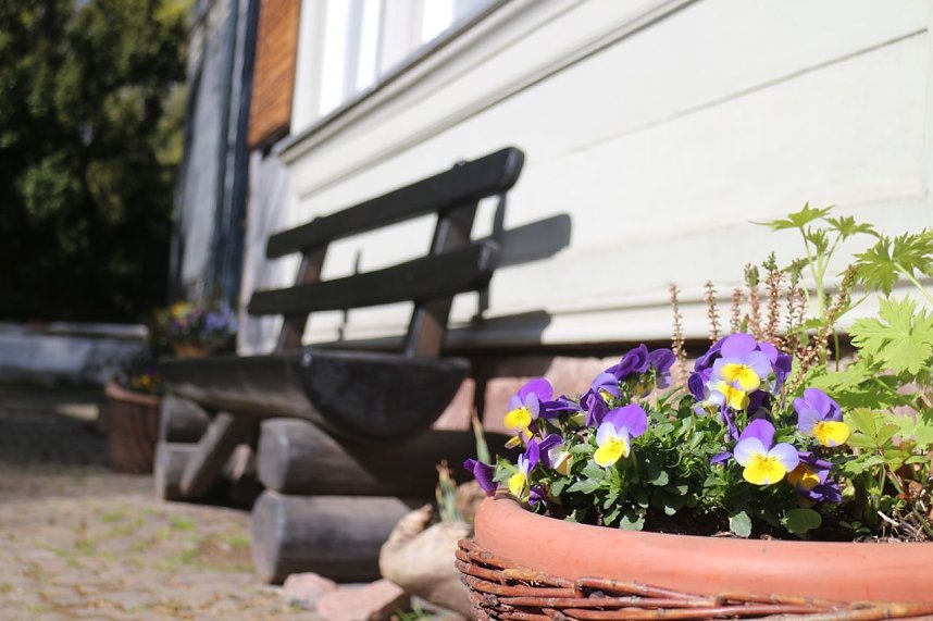 Spaziergang im Park Hohenrode