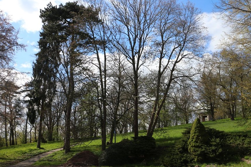 Spaziergang im Park Hohenrode