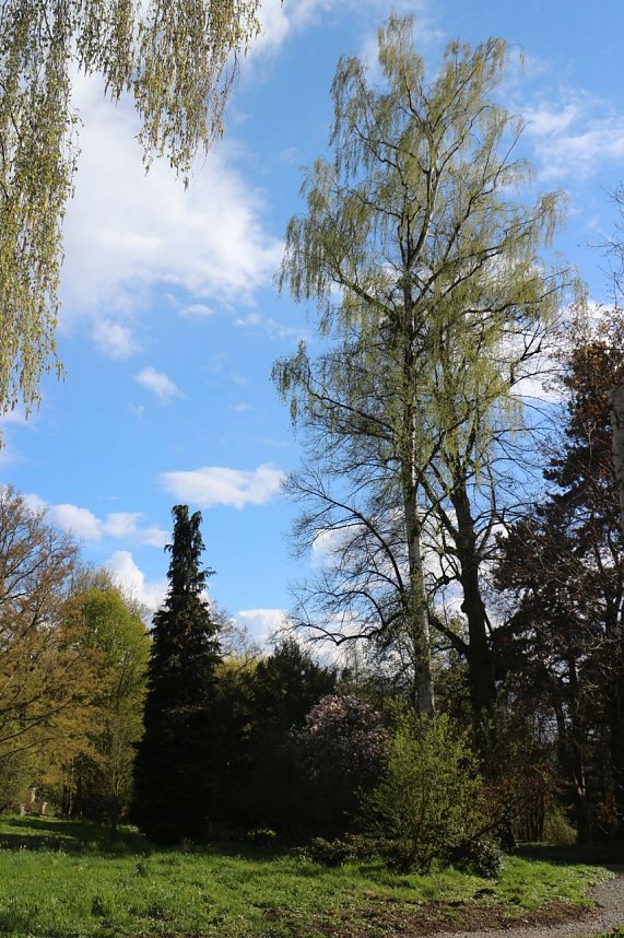 Spaziergang im Park Hohenrode