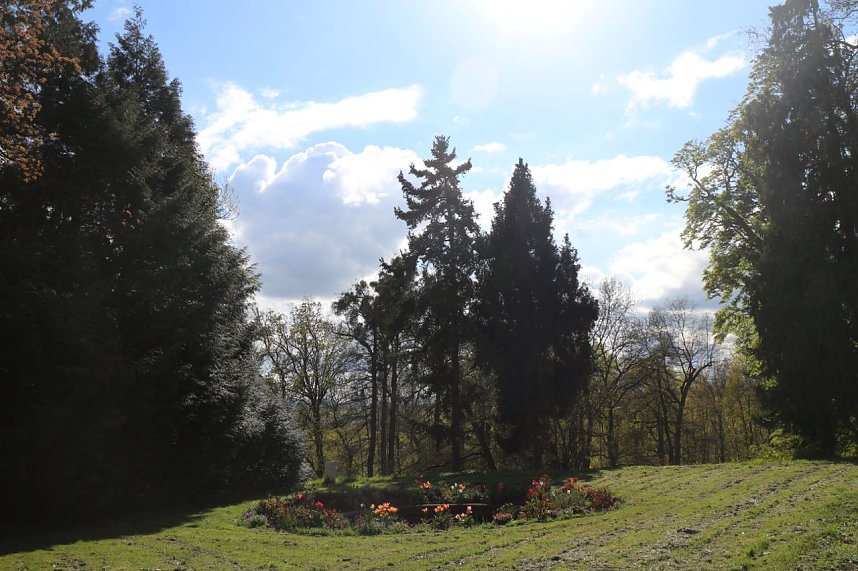 Spaziergang im Park Hohenrode