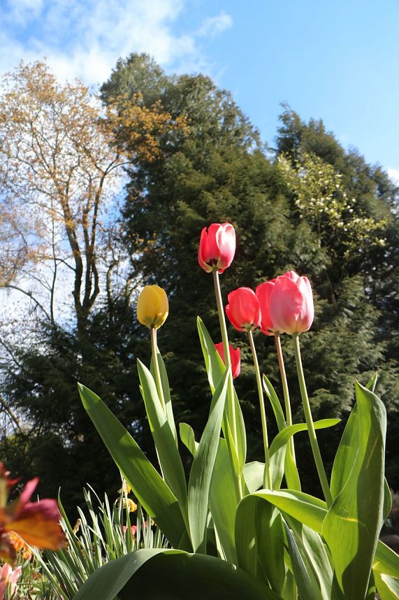 Spaziergang im Park Hohenrode