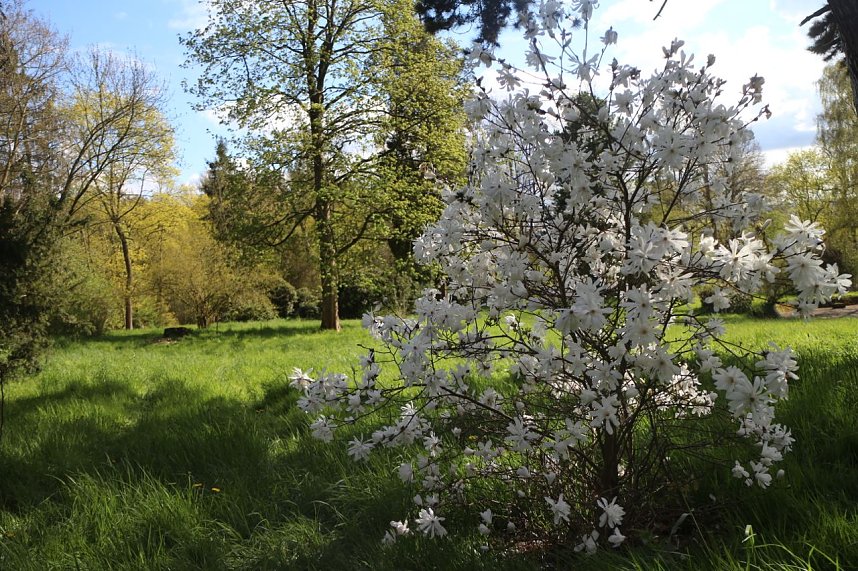 Spaziergang im Park Hohenrode