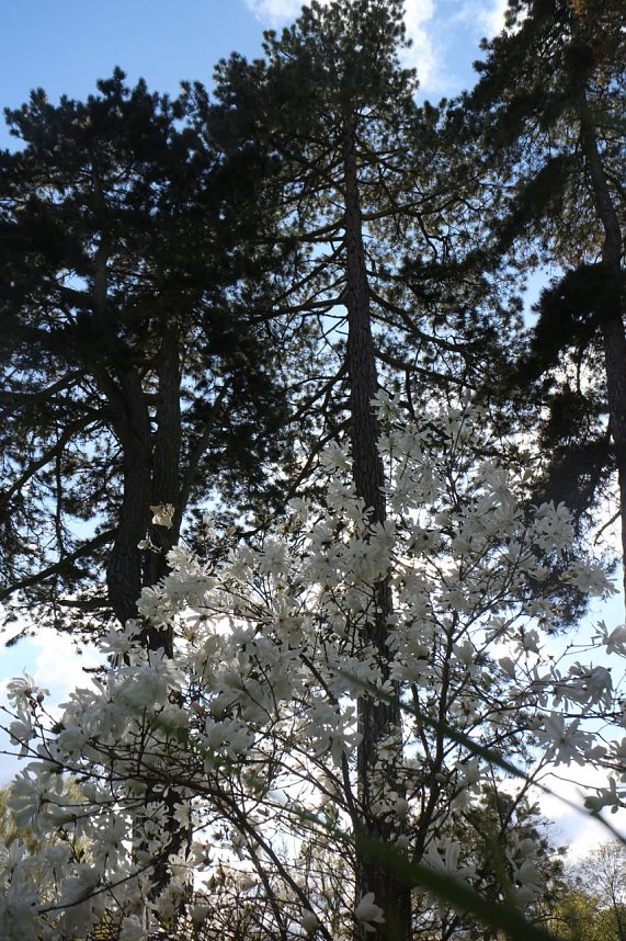 Spaziergang im Park Hohenrode