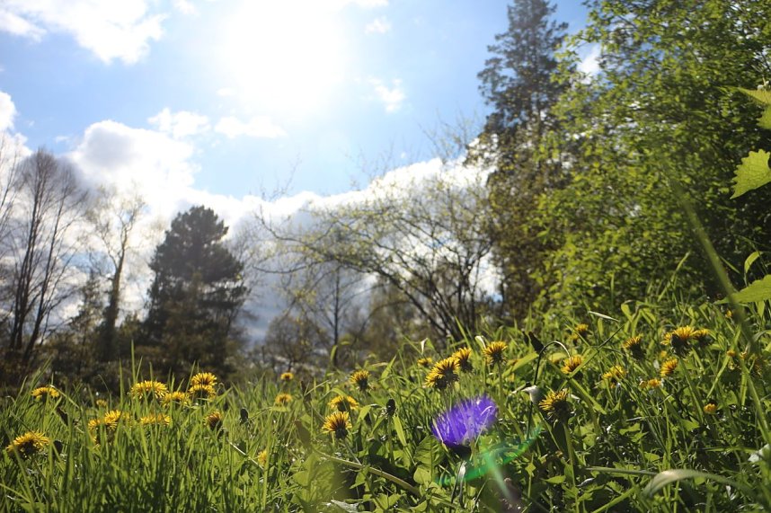 Spaziergang im Park Hohenrode