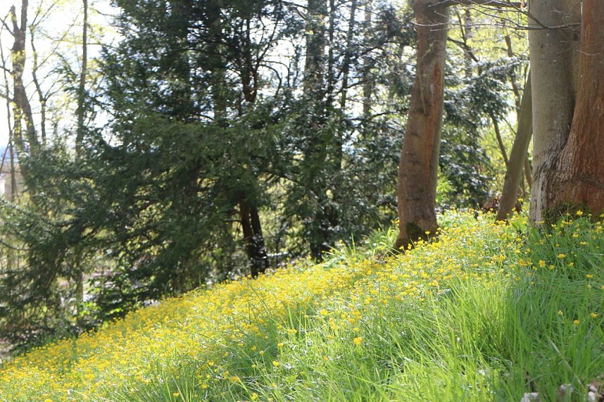 Spaziergang im Park Hohenrode