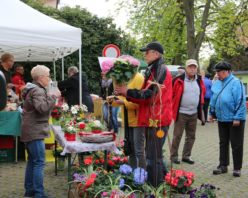 Fr&uuml;hlingsmarkt: Fr&uuml;hlingsblumen waren willkommene Mitbringsel.