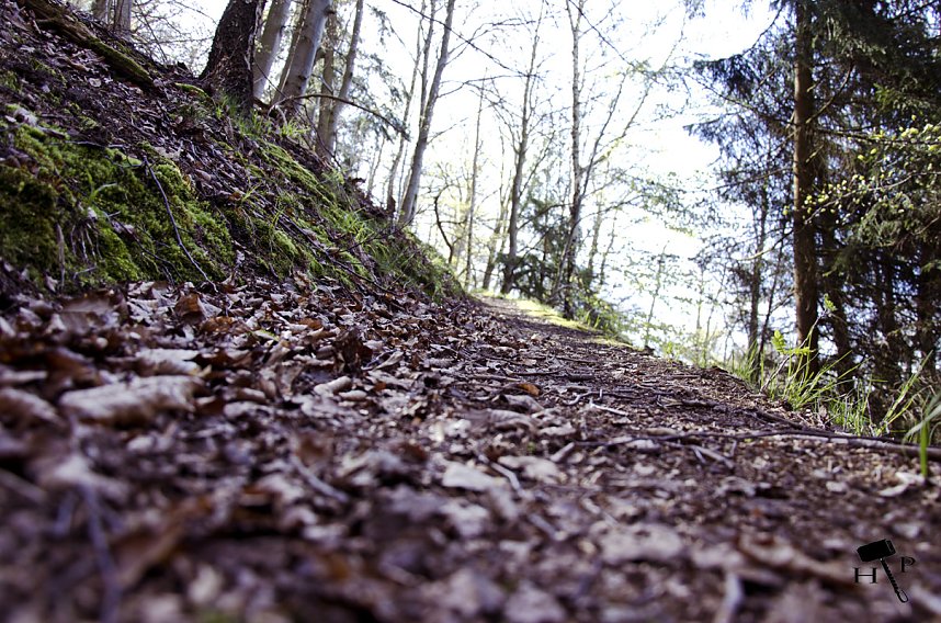 Die Felsen Tour im S&uuml;dharz