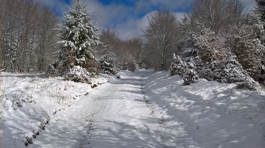 Winter im S&uuml;dharz