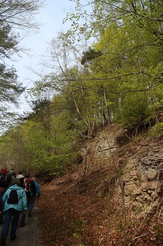 Sparkassenwanderung in Bleicherode