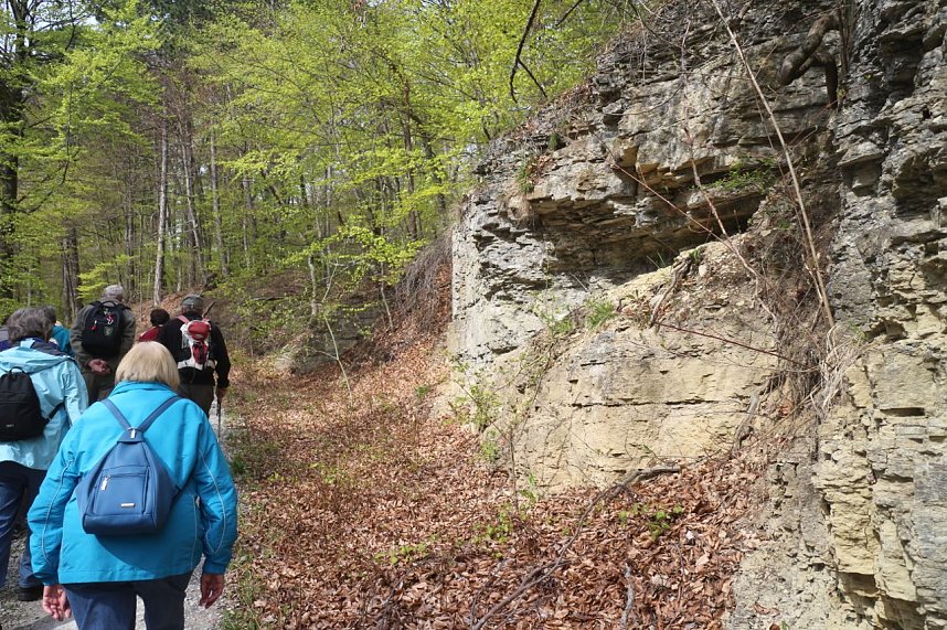 Sparkassenwanderung in Bleicherode