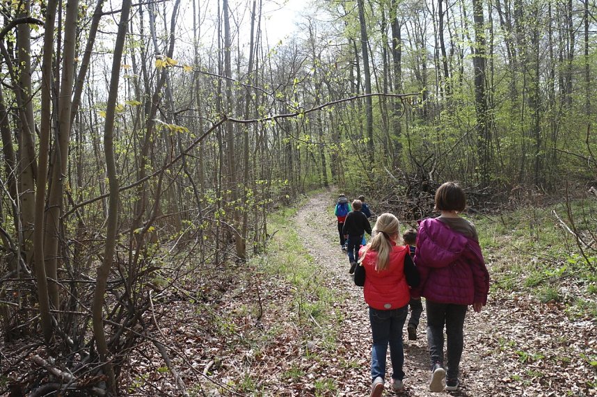 Sparkassenwanderung in Bleicherode
