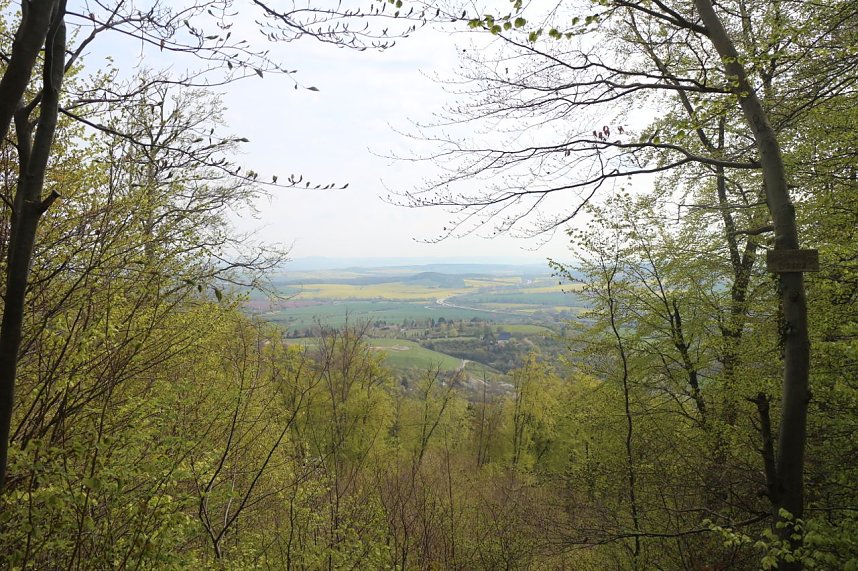 Sparkassenwanderung in Bleicherode