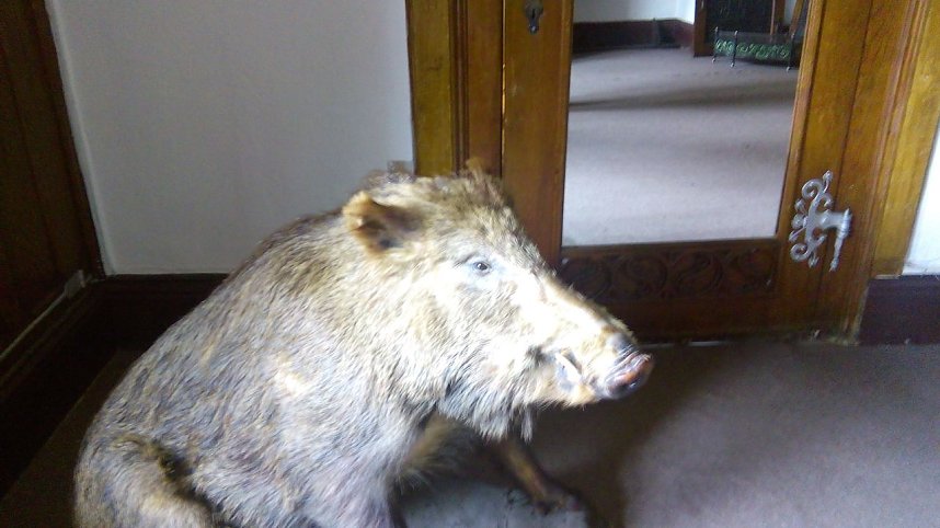 Landsenioren zu Besuch in Jena