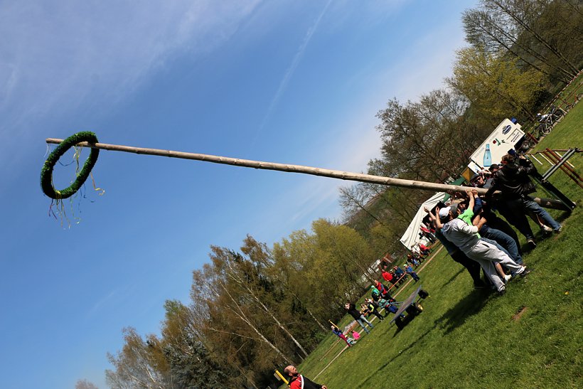 Maibaum in W&uuml;lfingerode gesetzt