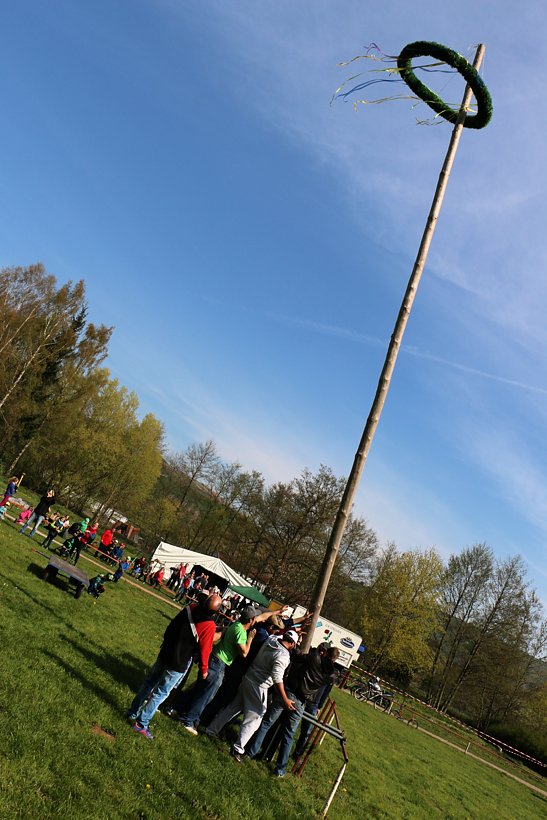 Maibaum in W&uuml;lfingerode gesetzt