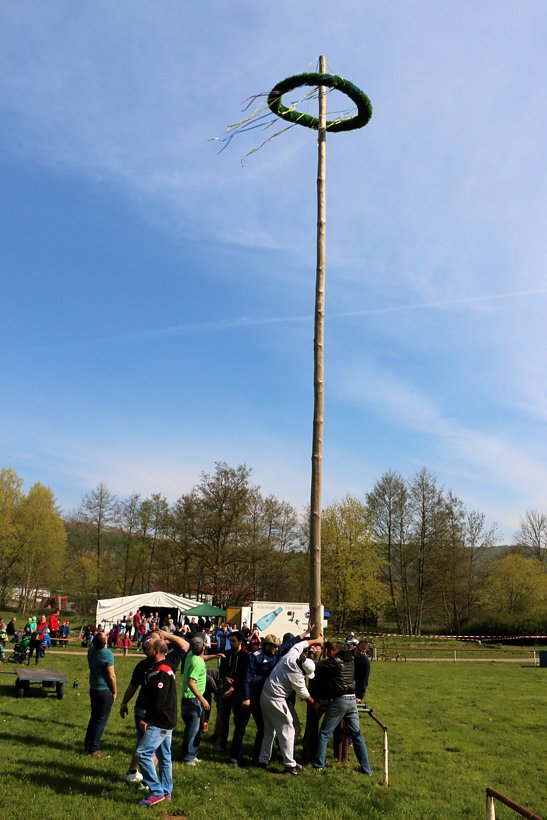 Maibaum in W&uuml;lfingerode gesetzt