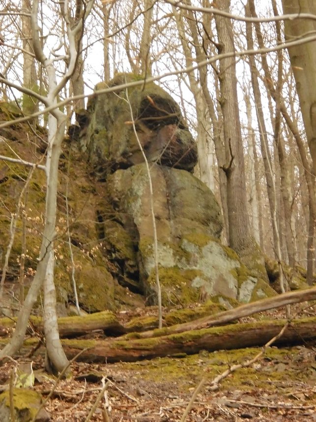 Die W&auml;chter des Harzes