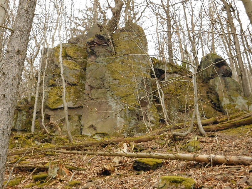 Die W&auml;chter des Harzes