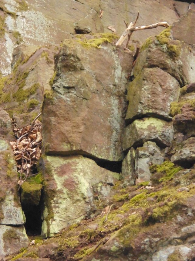 Die W&auml;chter des Harzes