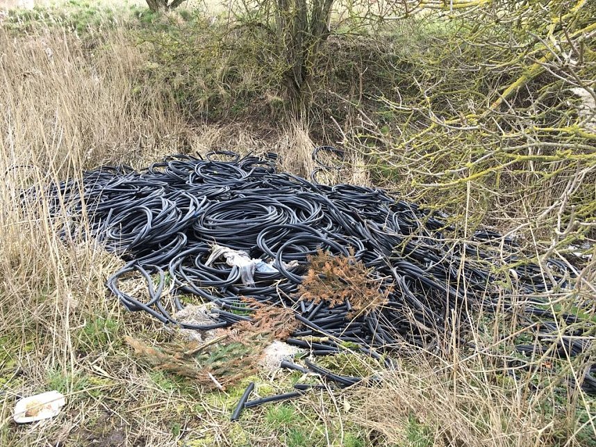 Illegal entsorgt: An Schweinemastanlage Uthleben