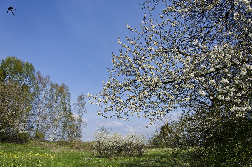 Erdfallseen, trockene Fl&uuml;sse und ganz viel Raps - Christian Schelauske war im Nordwesten des Landkreises unterwegs