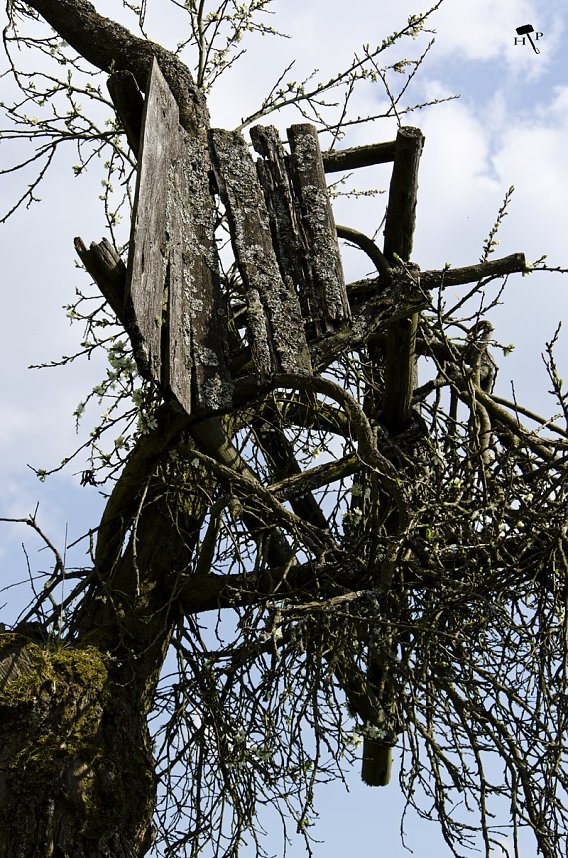 Erdfallseen, trockene Fl&uuml;sse und ganz viel Raps - Christian Schelauske war im Nordwesten des Landkreises unterwegs
