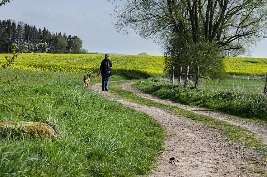 Erdfallseen, trockene Fl&uuml;sse und ganz viel Raps - Christian Schelauske war im Nordwesten des Landkreises unterwegs