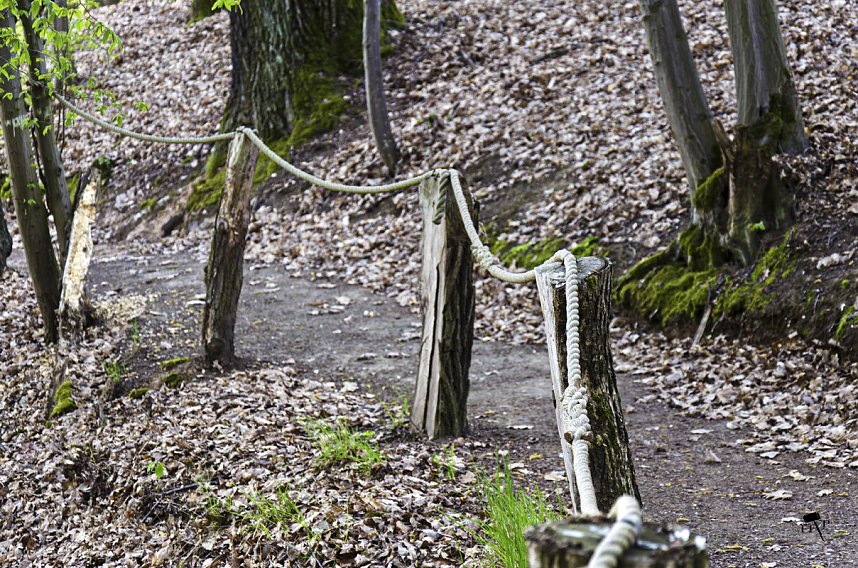 Erdfallseen, trockene Fl&uuml;sse und ganz viel Raps - Christian Schelauske war im Nordwesten des Landkreises unterwegs