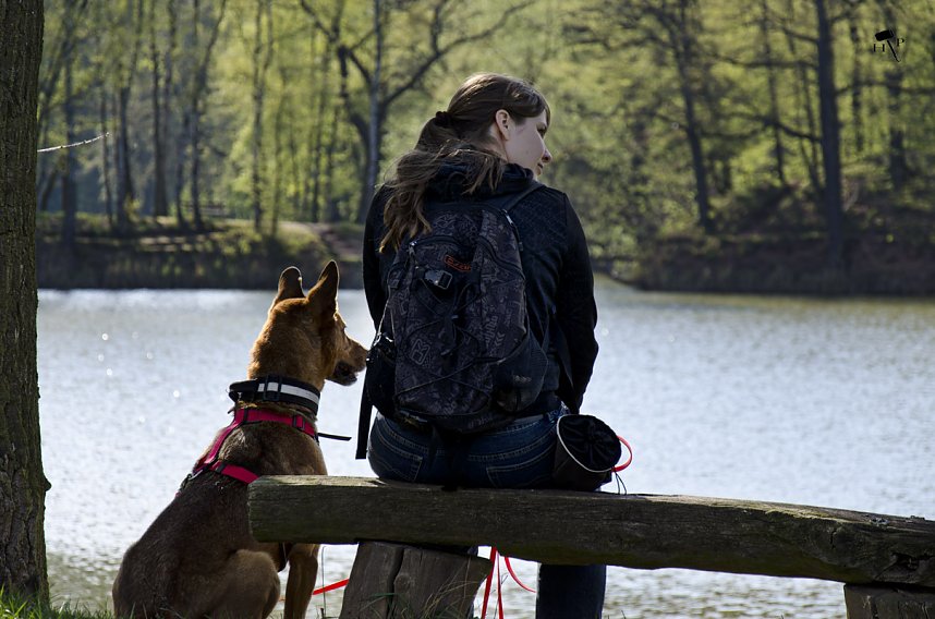 Erdfallseen, trockene Fl&uuml;sse und ganz viel Raps - Christian Schelauske war im Nordwesten des Landkreises unterwegs