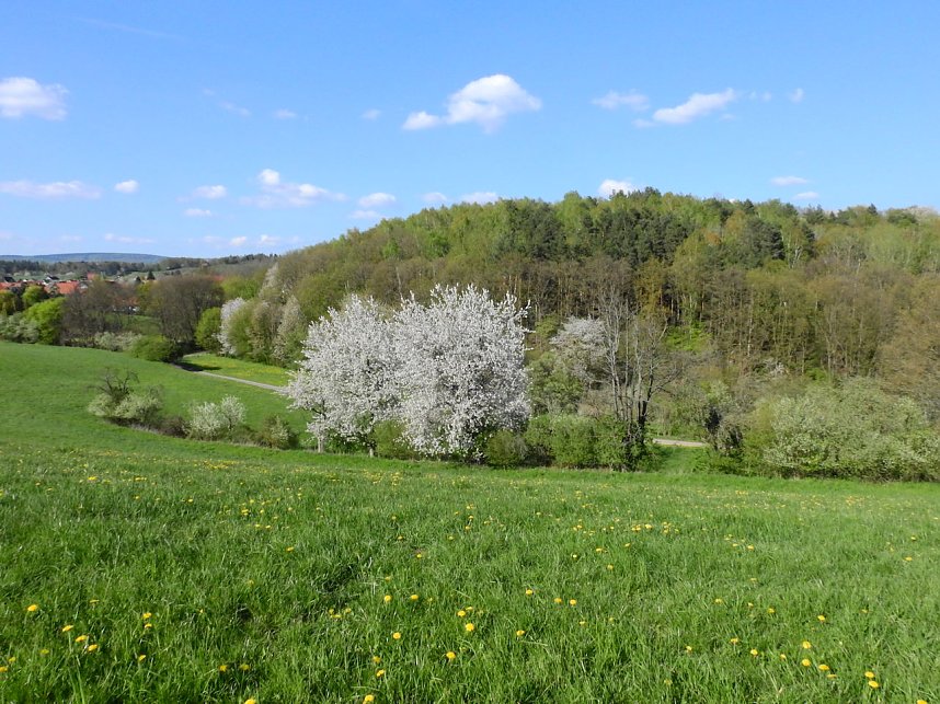 Zum Vatertag unterwegs