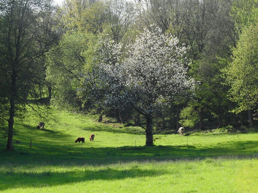 Zum Vatertag unterwegs