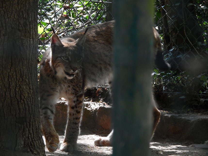 Peter Blei unterwegs in K&ouml;then