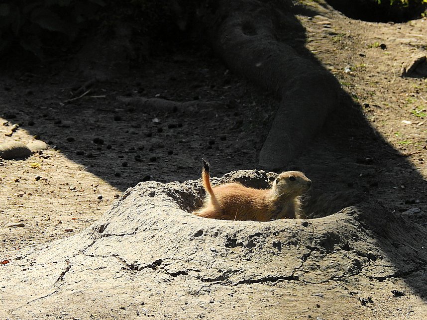 Peter Blei unterwegs in K&ouml;then