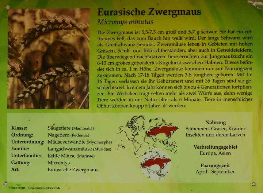 Peter Blei unterwegs in K&ouml;then