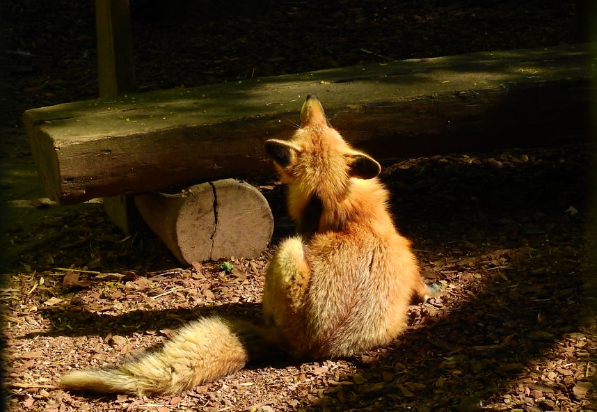 Peter Blei unterwegs in K&ouml;then