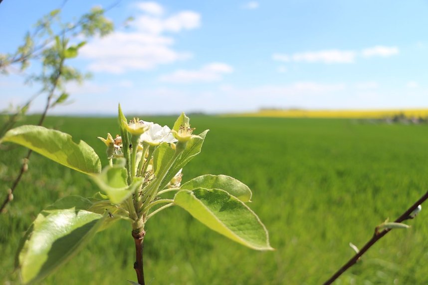 nnz-Sonntagsspaziergang zwischen Himmelgarten und Leimbach